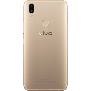 体内V9