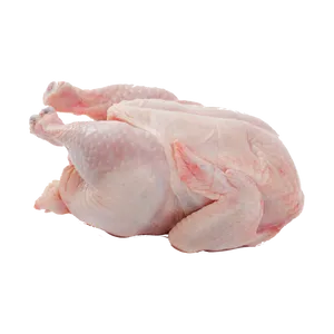 鸡肉